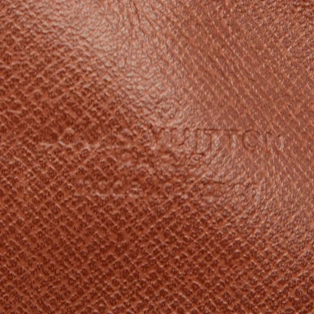 Louis Vuitton Mini Danube Crossbody Bag